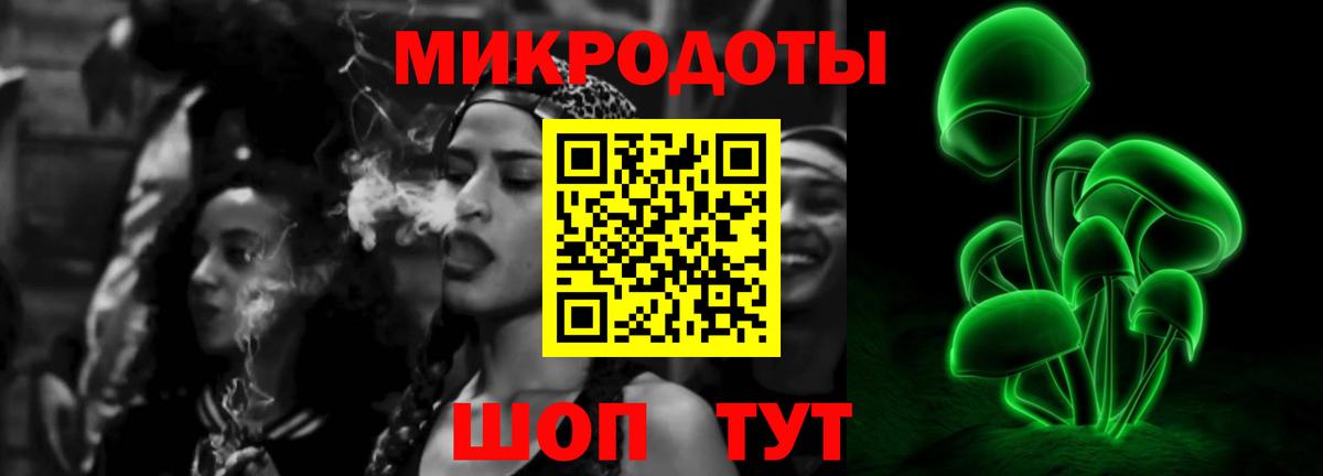 Галлюциногенные грибы мухоморы  Вход с VPN  Дзержинск  цена наркотик  Псилоцибиновые грибы мицелий 